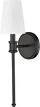 Millennium Lighting 16101 19" Tall Wall Sconce - Black. Fixed Price $97.90.