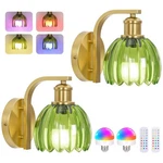Rechargeable Battery Operated Wall Sconce Set Of Two With Green Glass Lampsha.... Fixed Price $75.04.