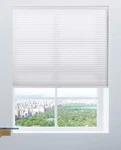 Calyx Interiors Light Filtering White Cellular, Honeycomb Shades, 24-INCH Wid.... Fixed Price $54.80.
