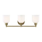 Savoy House Melrose 3-LIGHT Bathroom Vanity Light, Warm Brass 8-6836-3-322. Fixed Price $212.00.