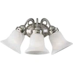 Progress Lighting Bedford 3-LIGHT Brushed Nickel Etched Alabaster Vanity. Fixed Price $22.99.