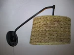Golden Lighting Ryleigh 1-LIGHT Articulating Wall Sconce. Fixed Price $123.45.