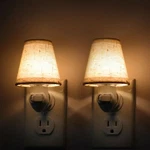 Loiwon Vintage Plug Night With Switch 2-PACK 0.5W Led Lights P.... Fixed Price $34.51.