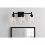 Hampton Bay Wakefield 22IN 3-LIGHT Matte Black Modern Vanity Clear Glass Shades. Fixed Price $37.69.