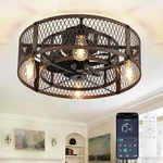 Depuley Flush Mount Ceiling Fan: 20" Caged Fans With Lights And Remote. Fixed Price $23.45.