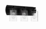 Flat Black Three Light Vanity From The Hendrix Collection. Fixed Price $153.00.
