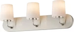 Maxim 12893WT Durham Light 24"W Bath Vanity - Nickel. Fixed Price $118.40.