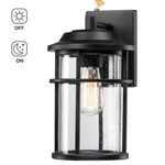 Pia Ricco 1-LIGHT Outdoor Black Wall Fixture Dusk Dawn Sensor Clear Seeded. Fixed Price $39.99.