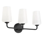 Progress Lighting Celino 3-LT Bath/vanity, Black/white P300544-031. Fixed Price $139.99.