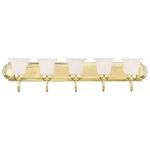 Livex Lighting Riviera Bath Polished Brass. Fixed Price $319.99.
