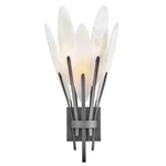 Fredrick Ramond Nerine 1LT Wall Mount, Brushed Graphite/alabaster - FR43100BGR. Fixed Price $679.00.