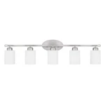 Homeplace By Capital Lighting Dixon Vanity, Nickel 115251BN-338. Fixed Price $200.00.