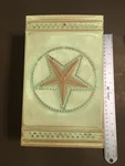 Hampton Bay Motif 10 X6 Lone Star Sconce Wall Light. Fixed Price $88.00.