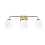 Millennium Lighting 22303-VB Bathroom Fixtures Indoor. Fixed Price $68.50.