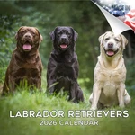 Labrador Retriever Mixed Labs Wall Calendar 2026 Animal Dog Pet Lover Gift. Fixed Price $24.99.
