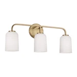 Capital Lighting 148831-542 Lawson 24"W Vanity. Fixed Price $155.20.