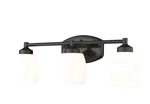 Z-lite Kendrick 745-3V Light 23" Wide Vanity Matte Black Frosted Glass. Fixed Price $149.99.