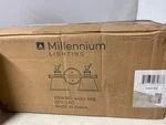 Millennium Lighting 4462-MG Traditional, Modern Gold. Fixed Price $115.99.