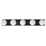 5 Matte Black Vanity Fixture Contemporary Bathroom Lighting. Fixed Price $44.39.