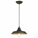 Westinghouse 6344700 Iron Hill 1-LIGHT Indoor Pendant, Oil Rubbed Bronze Finish. Fixed Price $56.47.