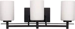 Canarm Ltd IVL363A03ORB Carlton Bulb Vanity Light Oil Rubbed Bronze. Fixed Price $119.99.
