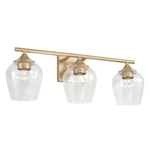 Austin Allen AA1009SF Reece 3 Light Bath Vanity 9" X 24" W, Soft Gold. Fixed Price $102.50.