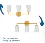 Progress Lighting Contemporary Vanity Glass Brushed Gold 3-LIGHT 22". Fixed Price $32.99.