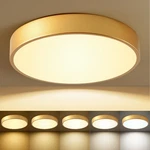 Hlinghtnet Flush Mount Ceiling Light Gold 12 Inch Led Dimmable 24W. Fixed Price $67.49.