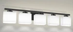 Yansun 41 In. 5-LIGHT Matte Black Modern Industrial Square Vanity. Fixed Price $88.00.