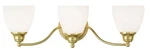 Livex Lighting 13673-02 Somerville Bathroom Vanity Polished Brass. Fixed Price $179.96.