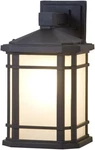 Dvi Lighting DVP142010BKSSD One Outdoor Wall Sconce Cardiff Black. Fixed Price $157.00.