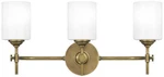 Quoizel Aria 22 1/2" Wide Weathered Brass 3-LIGHT Bath. Fixed Price $249.99.