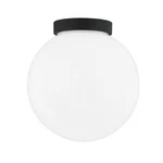 Troy Lighting Ansel - 1 Exterior Wall Sconce/flush Mount Medium Tex.... Fixed Price $311.52.