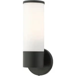 Livex Lighting 16561-04 Lindale Wall Sconce Black. Fixed Price $98.96.