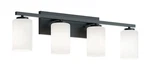 Afx LEOV3109MB 4 Light 31"W Vanity - Black. Fixed Price $84.80.