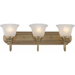Livex Lighting 1003-01 Belmont Bathroom Vanity Antique Brass. Fixed Price $219.96.