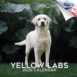 Labrador Retriever Yellow Labs Wall Calendar 2026 Animal Dog Pet Lover Gift. Fixed Price $24.99.