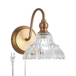 Tlolgt Modern Plug Wall Sconces Brass Vintage Light Fixtures Antique Van. Fixed Price $59.99.