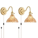Plug Wall Sconce Set Of 2, Gold Vintage Decor Lights With Amber Lily .... Fixed Price $83.98.