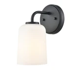 Millennium Lighting 214201 Laphia 10" Tall Bathroom Sconce - Black. Fixed Price $49.90.