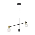 Nuvo Lighting Mantra 2 Pendant, Black/brass Accents 60-6988. Fixed Price $104.98.