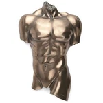 Veronese Bronze Finish Nude Male Torso Wall Hanging Figure Anatomy. Fixed Price $36.04.