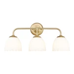 Golden Lighting 6954-BA3 Dorinda 7"W Vanity Brushed Champagne. Fixed Price $249.99.