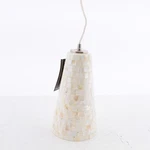 Elk Lighting Riley Single 10" Wide Pendant With Clear Glass Shade 16061/1. Fixed Price $218.49.