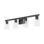 Noble Bronze Four Light Vanity From The Hartland Collection. Fixed Price $239.99.
