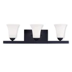 Livex Lighting 6493 Ridgedale 25-1/4"W Bathroom Vanity Black. Fixed Price $225.96.