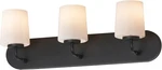 Maxim 12893WT Durham Light 24"W Bath Vanity - Black. Fixed Price $102.40.