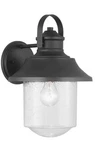 Progress Lighting Outdoor Sconce 12" Wall Lantern Black W/ Clear Seeded Glass. Fixed Price $59.49.