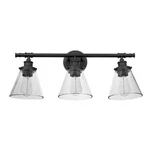 Globe Electric 51411 Vanity 3-LIGHT, Oil-rubbed Bronze. Fixed Price $113.99.