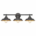 Westinghouse 6344900 Iron Hill Three-light Indoor Wall Fixture,oil Rubbed Bronze. Fixed Price $118.06.